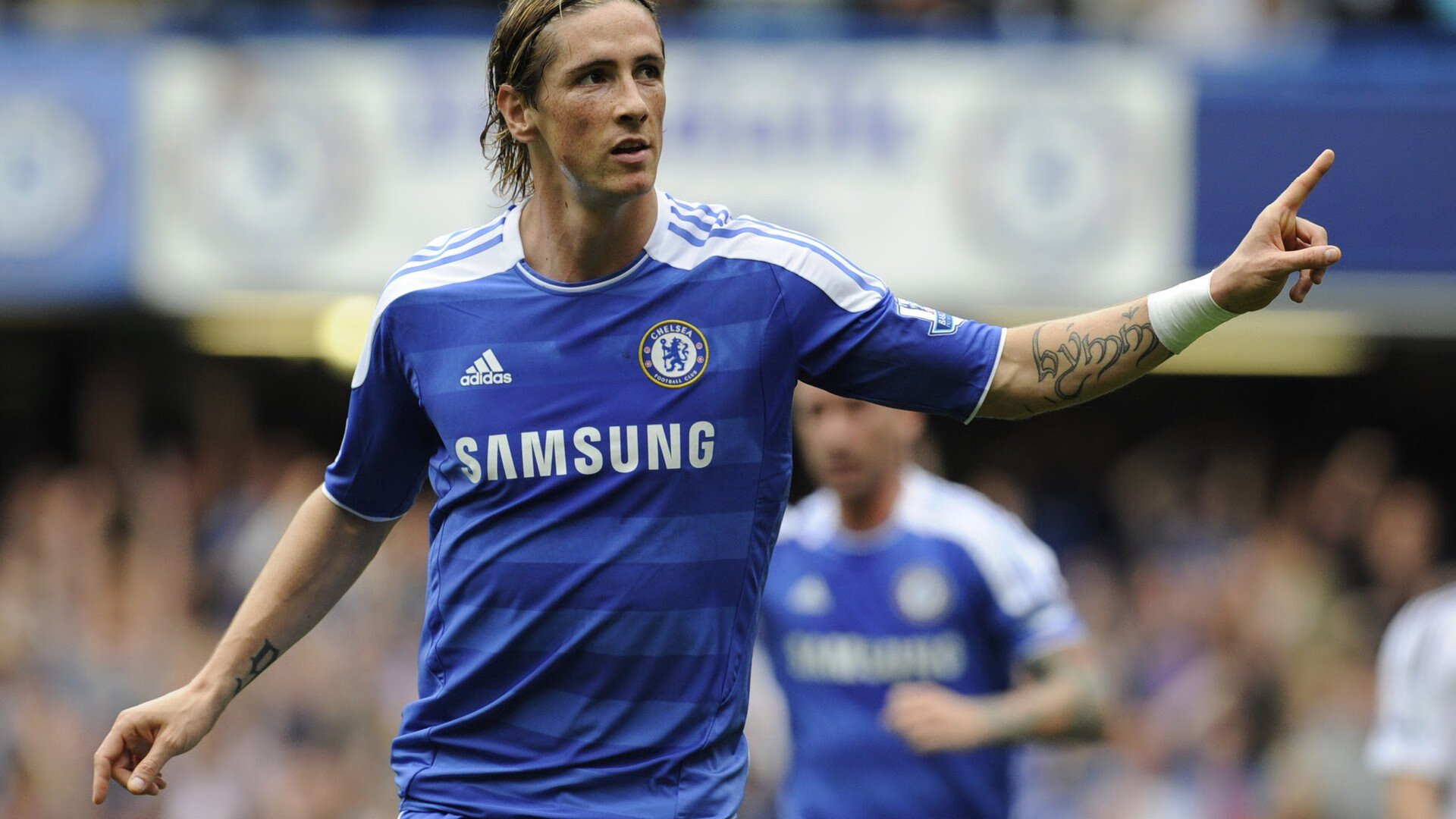 未来之星：我看好这些潜力新秀，未来之星是干嘛的